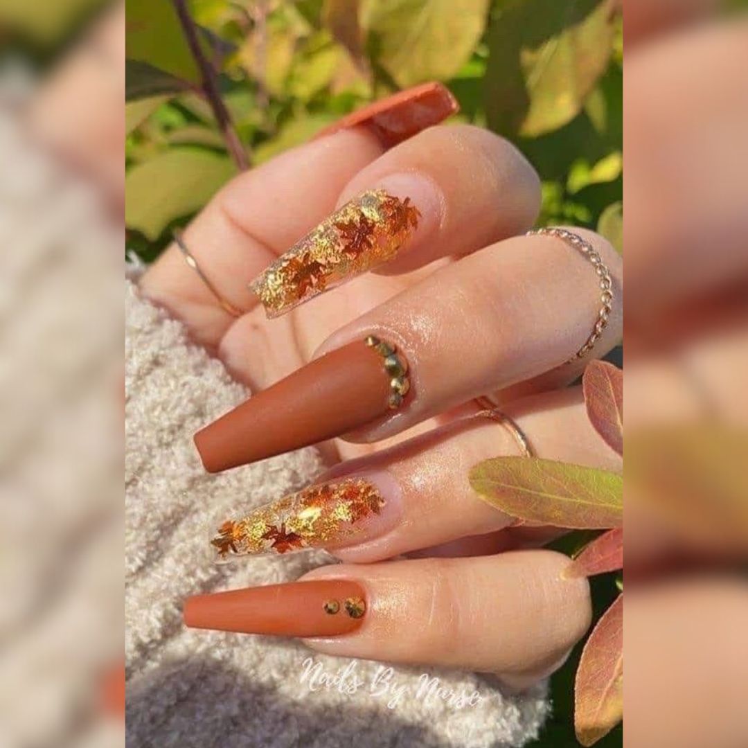 American Nails logo